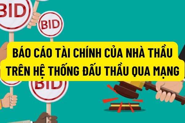 Hệ thống đấu thầu qua mạng tự động trích xuất số liệu về báo cáo tài chính trong doanh thu hàng năm vào hồ sơ năng lực của nhà thầu?