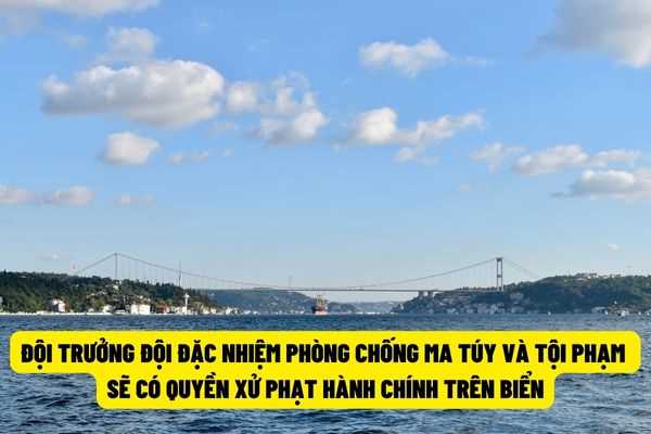 Đội trưởng Đội đặc nhiệm phòng chống ma túy và tội phạm sẽ được quyền phạt tiền đến 10 triệu đồng đối với hành vi vi phạm hành chính trên vùng biển đảo và thềm lục địa Việt Nam?