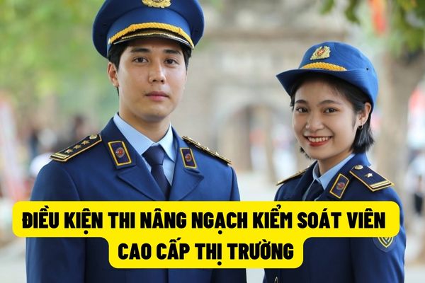 Kiểm soát viên cao cấp thị trường có phải là người có chuyên môn cao nhất lực lượng Quản lý thị trường không? Điều kiện để thi lên ngạch kiểm soát viên cao cấp thị trường là gì?