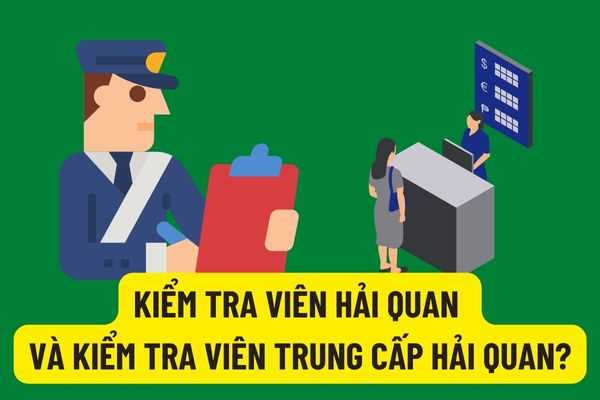 Công chức ngạch kiểm tra viên hải quan và kiểm tra viên trung cấp hải quan khác nhau như thế nào theo quy định mới từ 18/7/2022?