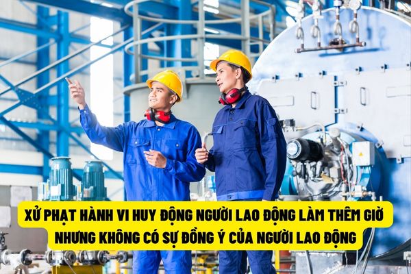 Phạt 25.000.000 đồng đối với hành vi huy động người lao động làm thêm giờ khi không có sự đồng ý của người lao động?