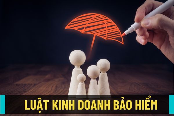 Đã có Luật kinh doanh bảo hiểm 2022 thay thế Luật kinh doanh bảo hiểm 2000 có hiệu lực từ 01/01/2023?