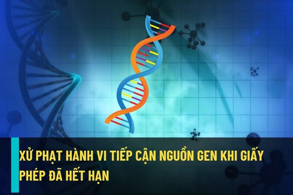 Từ ngày 25/8/2022 sẽ tăng mức xử phạt đối với hành vi tiếp cận nguồn gen khi giấy phép tiếp cận nguồn gen đã hết hạn?