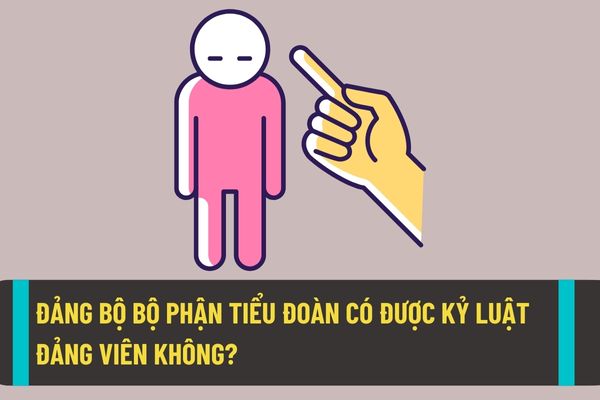 Đảng bộ bộ phận tiểu đoàn và tương đương có được kỷ luật đảng viên trong đảng bộ theo quy định hiện nay không?