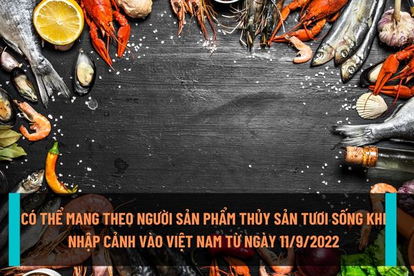 Có thể mang theo người sản phẩm thủy sản tươi sống khi nhập cảnh vào Việt Nam từ ngày 11/9/2022?