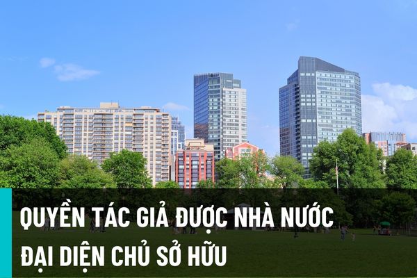 Từ 01/01/2023 Nhà nước đại diện chủ sở hữu quyền tác giả, quyền liên quan nào, trường hợp nào thuộc về công chúng?