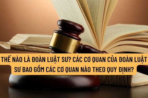 Thế nào là Đoàn luật sư? Các cơ quan của Đoàn luật sư bao gồm các cơ quan nào theo quy định?