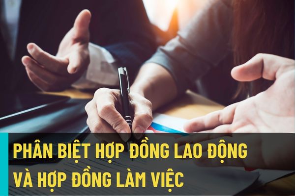 Phân biệt hợp đồng lao động và hợp đồng làm việc theo quy định mới nhất của Bộ Luật lao động và Luật Viên chức như thế nào?