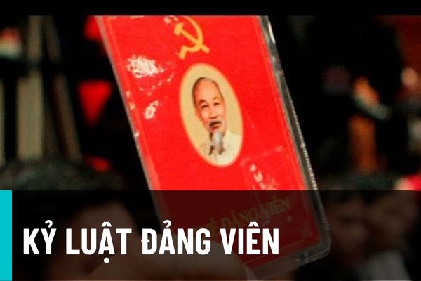 Quy trình xem xét, thi hành kỷ luật đối với tổ chức đảng, đảng viên vi phạm năm 2022 được thực hiện như thế nào?