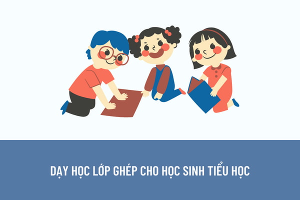 Học sinh tiểu học khác trình độ (lớp) có được phép học cùng lớp không? Bộ Giáo dục và Đào tạo hướng dẫn dạy học lớp ghép cho học sinh tiểu học như thế nào?