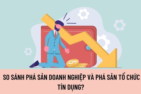 So sánh phá sản doanh nghiệp và tổ chức tín dụng? Thứ tự phân chia tài sản của tổ chức tín dụng và doanh nghiệp được quy định như thế nào?