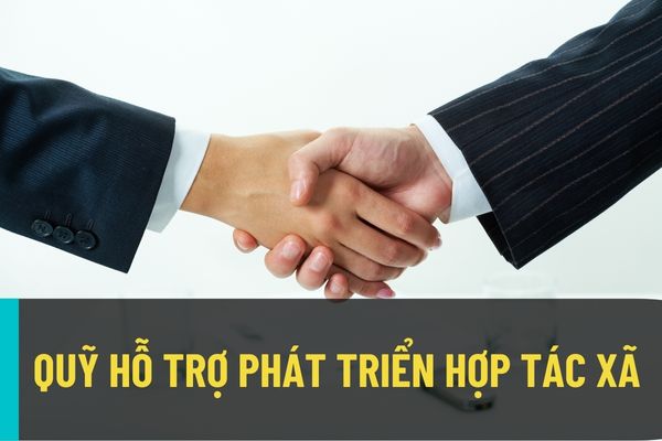 Thực hiện quản lý lao động, tiền lương, thù lao, tiền thưởng đối với Quỹ hỗ trợ phát triển hợp tác xã như thế nào?