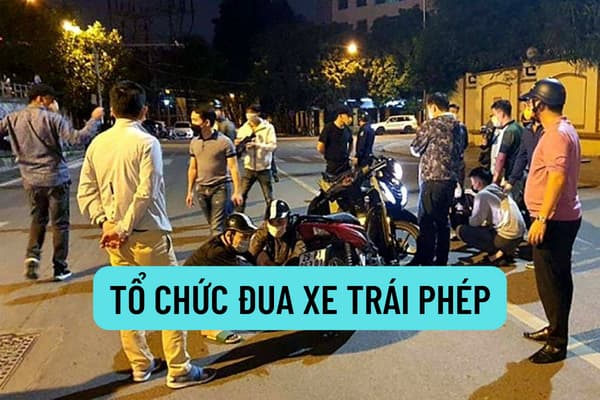 Tổ chức đua xe trái phép để cá cược thì bị xử phạt như thế nào? Quy định mức xử phạt đối với người phạm tội đua xe trái phép?