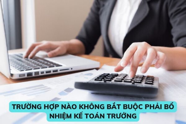 Trường hợp nào không bắt buộc phải bổ nhiệm kế toán trưởng? Kế toán trưởng phải có trình độ đại học? Hình từ Internet