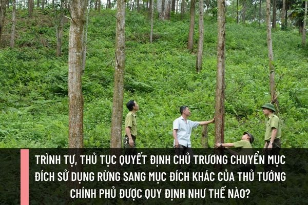 Tiêu chuẩn bổ nhiệm giám định viên tư pháp là gì? Hồ sơ đề nghị bổ nhiệm giám định viên tư pháp gồm những gì?