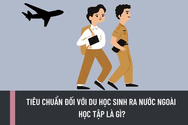 Tiêu chuẩn đối với du học sinh ra nước ngoài học tập là gì? Hồ sơ dự tuyển du học sinh học bổng nhà nước bao gồm những gì?