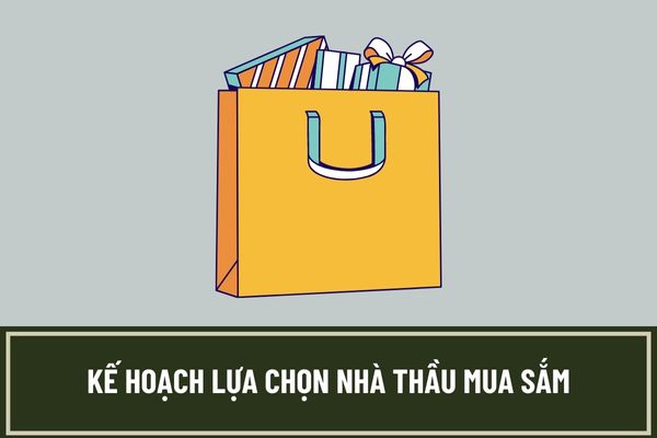 Thời gian phê duyệt kế hoạch lựa chọn nhà thầu mua sắm tài sản, hàng hóa, dịch vụ phục vụ hoạt động thường xuyên của cơ quan nhà nước là bao lâu?