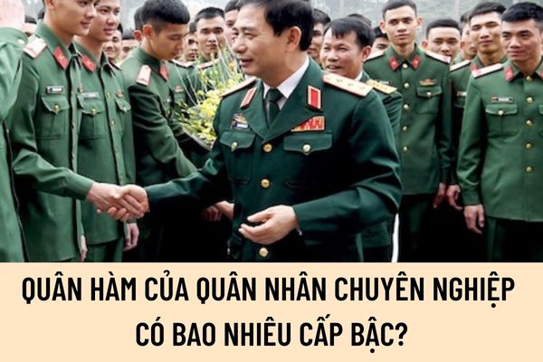 Quân hàm của quân nhân chuyên nghiệp có bao nhiêu cấp bậc? Mức lương tương ứng với cấp bậc quân nhân chuyên nghiệp được quy định như thế nào? (Hình từ Internet)