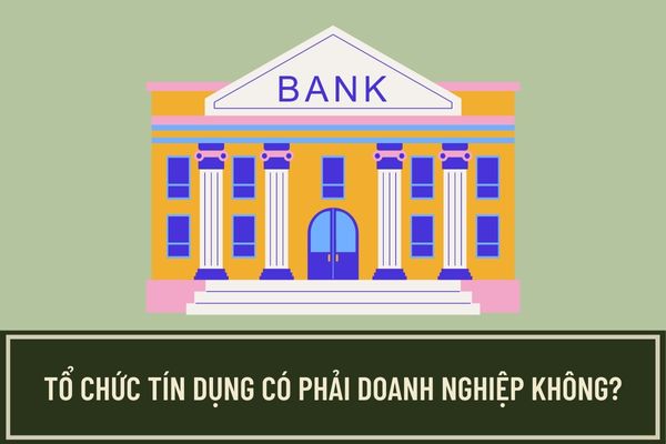 Tổ chức tín dụng có phải là doanh nghiệp hay không? Loại hình tổ chức tín dụng nào được phép hoạt động tại Việt Nam?