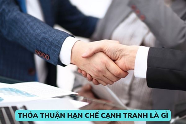 Thỏa thuận hạn chế cạnh tranh là gì? Có những thỏa thuận hạn chế cạnh tranh nào bị  nghiêm cấm? 