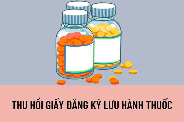 Thu hồi giấy đăng ký lưu hành thuốc trong trường hợp nào? Thuốc bị thu hồi trong trường hợp nào? 