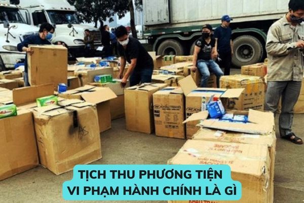 Thủ tục tịch thu phương tiện vi phạm hành chính được thực hiện như thế nào? Nguyên tắc quản lý, bảo quản phương tiện vi phạm hành chính bị tịch thu là gì? (Hình từ Internet)