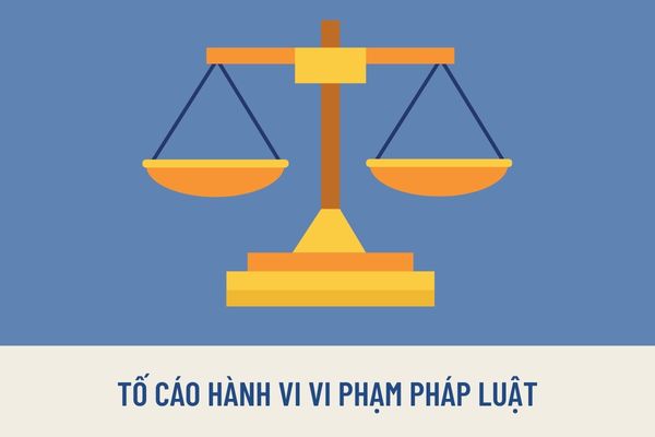 Thế nào là tố cáo hành vi vi phạm pháp luật trong việc thực hiện nhiệm vụ, công vụ? Ai có thẩm quyền giải quyết tố cáo?