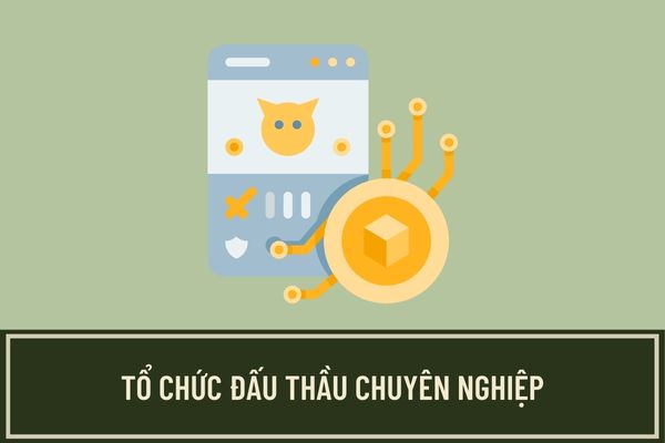 Tổ chức đấu thầu chuyên nghiệp phải đáp ứng những điều kiện nào để được thành lập, hoạt động?