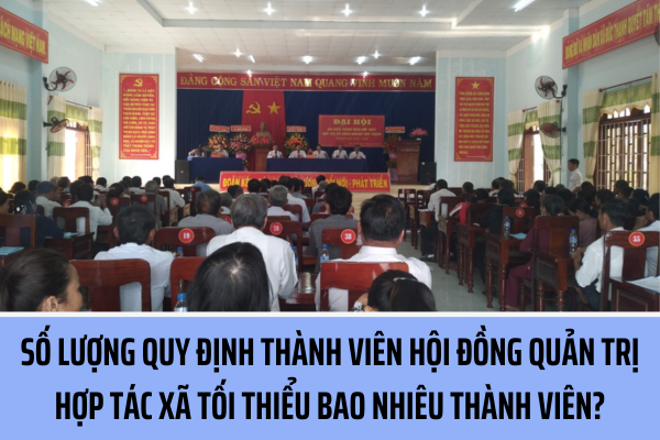 Số lượng thành viên Hội đồng quản trị hợp tác xã, liên hiệp hợp tác xã tối thiểu là bao nhiêu người?