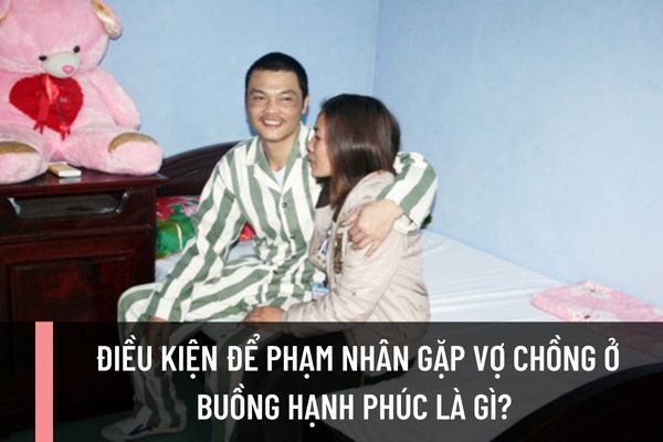 Điều kiện để phạm nhân gặp vợ chồng ở buồng hạnh phúc là gì? Thủ tục đăng ký gặp phạm nhân tại buồng hạnh phúc được quy định như thế nào?