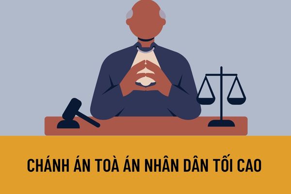 Để trở thành Chánh án Toà án nhân dân tối cao phải đáp ứng các điều kiện nào? Chánh án Tòa án nhân dân tối cao do ai bầu?
