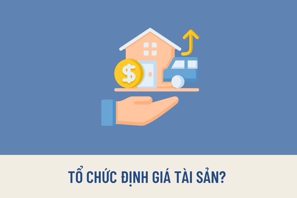 Giá tài sản thay đổi như thế nào tại thời điểm thi hành án thì được tổ chức định giá tài sản? 