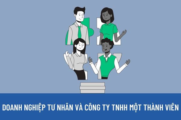 Doanh nghiệp tư nhân và Công ty trách nhiệm hữu hạn một thành viên có những điểm khác biệt như thế nào?