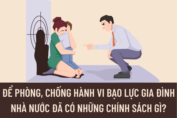 Để phòng, chống hành vi bạo lực gia đình Nhà nước đã có những chính sách gì? Có những biện pháp nào để ngăn chặn bạo lực gia đình?