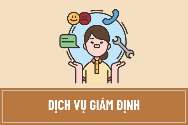 Dịch vụ giám định là gì? Khách hàng yêu cầu dịch vụ giám định thương mại có những quyền và nghĩa vụ ra sao?