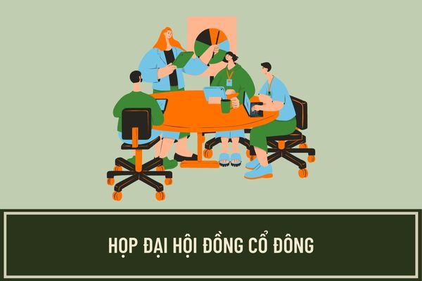 Cuộc họp Đại hội đồng cổ đông diễn ra khi nào? Họp Đại hội đồng cổ đông thường niên với mục đích gì?