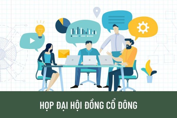 Để tiến hành cuộc họp Đại hội đồng cổ đông thì phải đáp ứng các điều kiện nào? Thời gian họp Đại hội đồng cổ đông là khi nào?