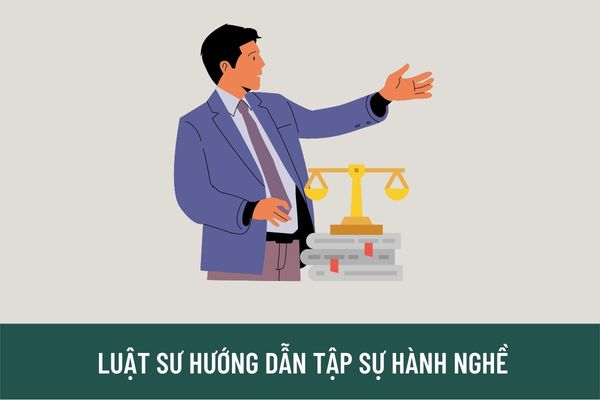 Điều kiện để trở thành luật sư hướng dẫn tập sự là gì? Nghĩa vụ của luật sư hướng dẫn tập sự là gì?