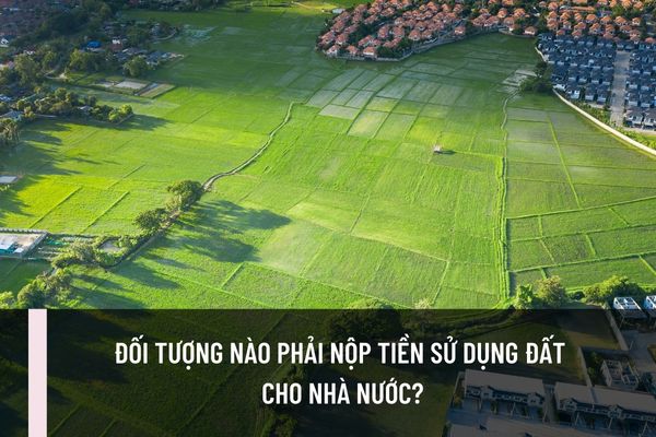 Đối tượng nào phải nộp tiền sử dụng đất cho Nhà nước? Nhà nước giao đất không thu tiền sử dụng đất trong trường hợp nào?