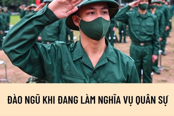 Đào ngũ khi đang làm nghĩa vụ quân sự có bị truy cứu trách nhiệm Hình sự không? Hành vi chứa chấp, bao che quân nhân đào ngũ là gì?
