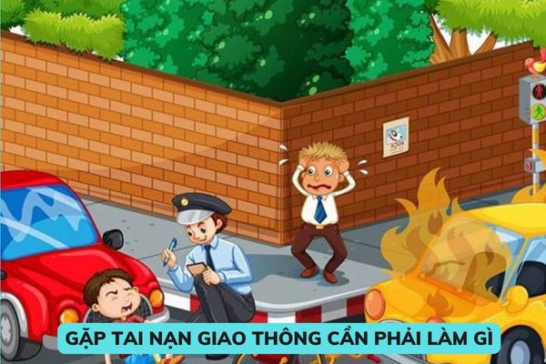 Gặp tai nạn giao thông khi tham gia giao thông cần phải làm gì cho đúng luật? Không cứu giúp người bị thương do tai nạn giao thông có thể bị phạt tù? 