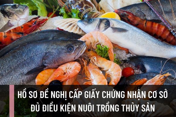 Để được cấp Giấy chứng nhận cơ sở đủ điều kiện nuôi trồng thủy sản thì tổ chức, cá nhân cần chuẩn bị những giấy tờ nào?