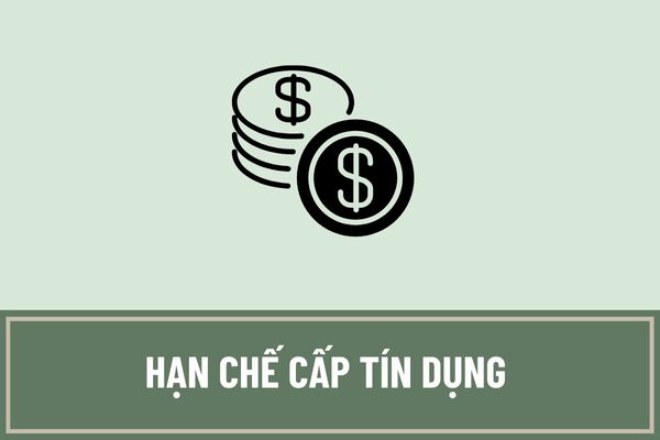 Hạn chế cấp tín dụng trong trường hợp nào? Không được cấp tín dụng trong trường hợp nào theo quy định hiện hành?