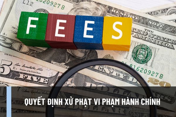 Doanh nghiệp đã giải thể không ra quyết định xử phạt vi phạm hành chính thì có bị tịch thu tang vật không?