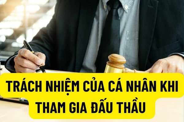 Trách nhiệm của cá nhân tổ chức khi tham gia vào hệ thống đấu thầu qua mạng theo Thông tư 08/2022/TT-BKHĐT?