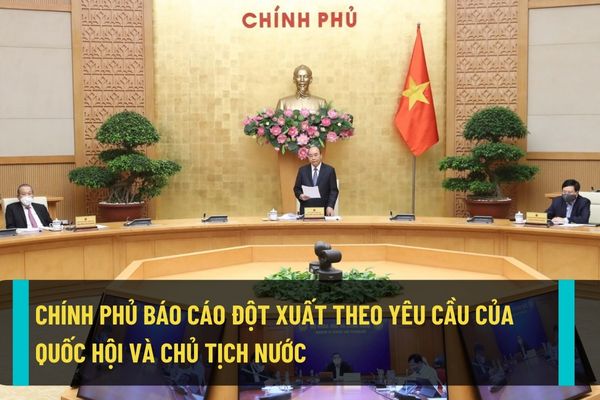 Chính phủ sẽ thực hiện báo cáo đột xuất, chuyên đề theo yêu cầu của Quốc hội, Ủy ban thường vụ Quốc hội, Chủ tịch nước?