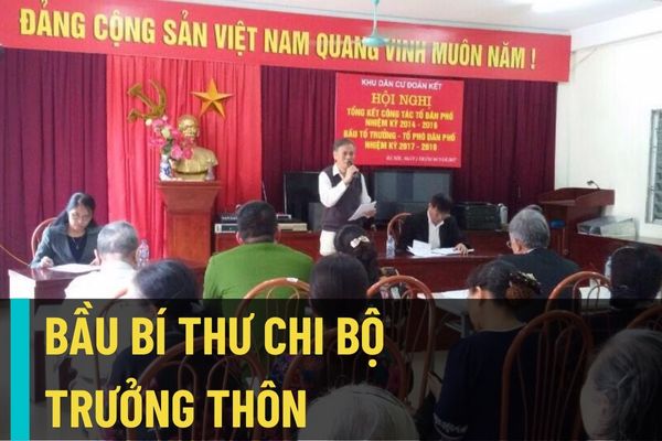 Chú trọng chọn đảng viên là cán bộ hưu trí, cựu chiến binh có uy tín, năng lực để làm bí thư chi bộ thôn, tổ dân phố?