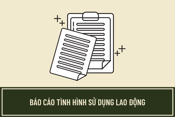 Cách lập mẫu số 01/PLI khi thực hiện báo cáo tình hình sử dụng lao động định kỳ mới nhất năm 2023?