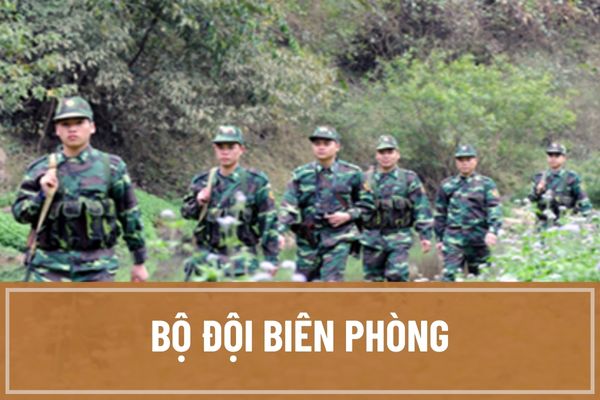 Bộ đội Biên phòng là ai? Bộ đội Biên phòng có nhiệm vụ và quyền hạn như thế nào theo quy định hiện nay?