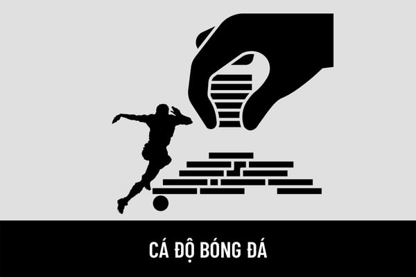 Cá độ bóng đá có phải hành vi vi phạm pháp luật không? Cá độ bóng đá với số tiền nhỏ thì có bị xử phạt không?